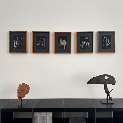 Dr. Oskar Schweighart – Wiesenpflanzen (1)